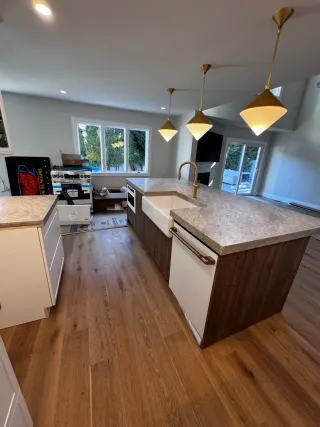 Complete Home Renovation image 268