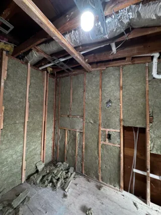 Complete Home Renovation image 50